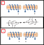 Right Hand Rule Applied To Partnered Output Coils 2x Configurations.png