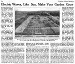 Electric Waves Make Garden Grow.PNG