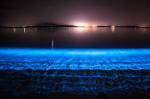 bioluminescent waves.jpg