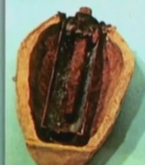 Baghdad Battery.png