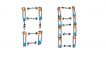 iron filings in magnetic field.jpg